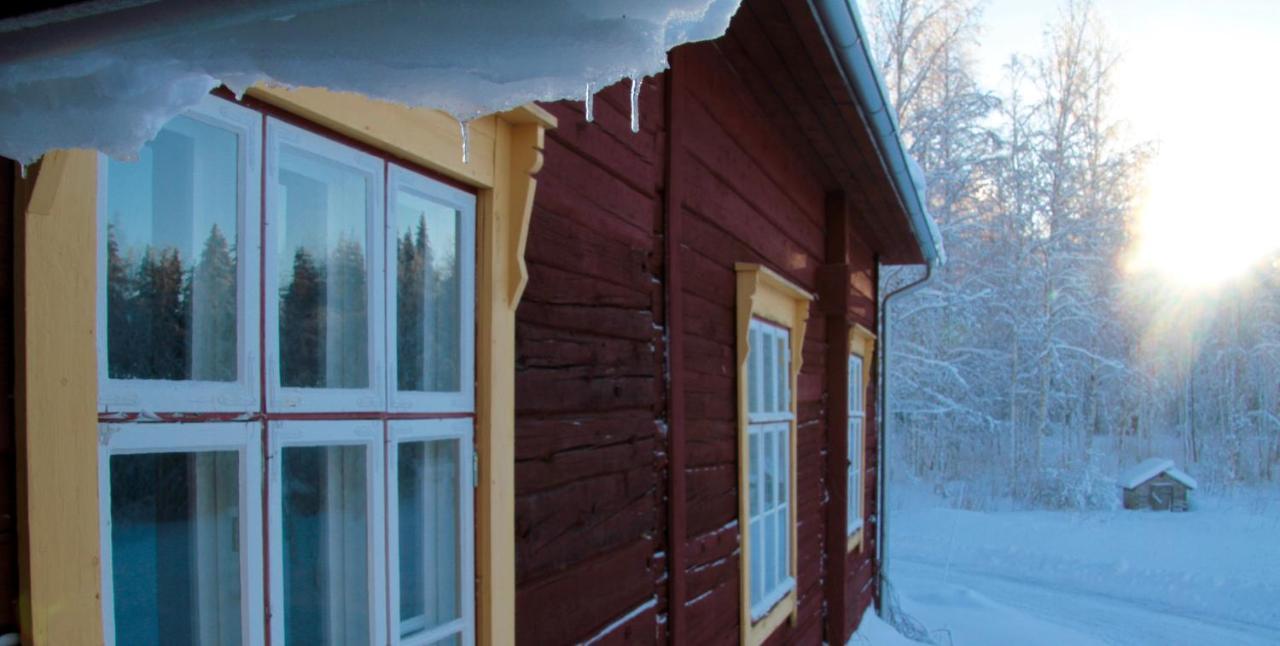 Kolin Mattila B&B Koli  Exterior photo