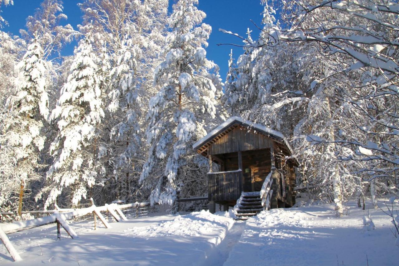 Kolin Mattila B&B Koli  Exterior photo